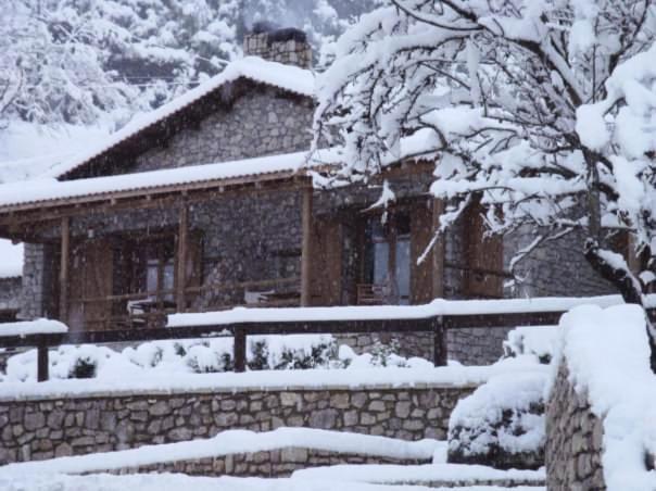 Petrina Theohari Villa Lekhouri Exterior photo
